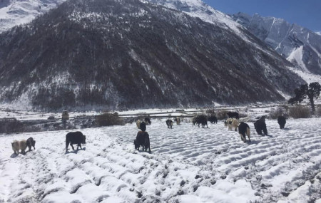 चुमभ्याली। तस्वीर: निमा लामा।