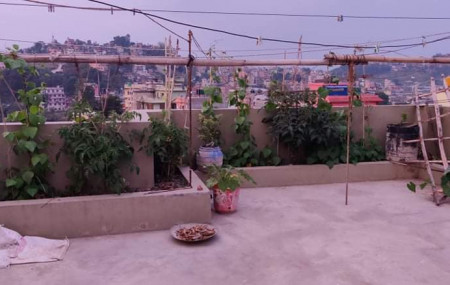 कौसी खेती।
