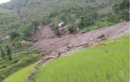 फाइल तस्बिर।