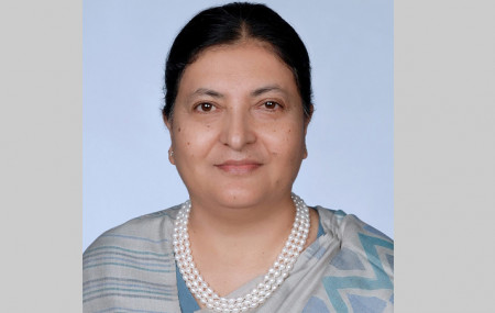 फाइल तस्बिर।