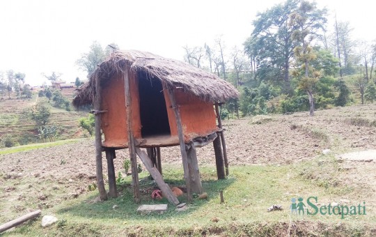 फाइल तस्बिर।