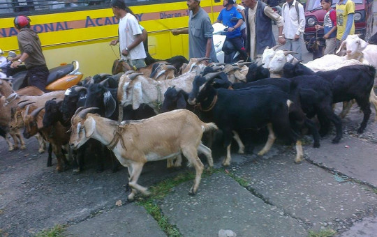 (फाइल फोटो)