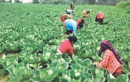 फाइल फोटो