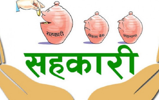 सांकेतिक तस्वीर।