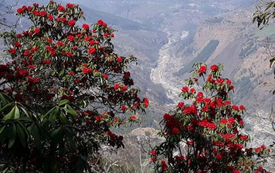 फाइल तस्बिर : रासस