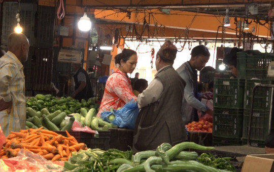 फाइल तस्बिर।