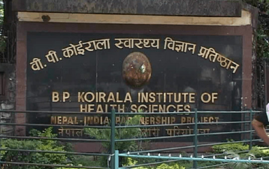 फाइल तस्बिर।