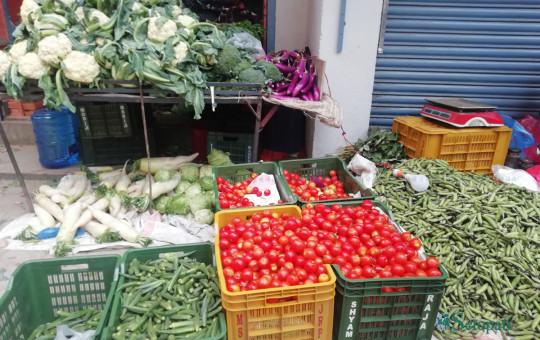 लक डाउनमा खुलेको चावहिलको एउटा तरकारी पसल। तस्बिर: सुनिता सिटौला/सेतोपाटी