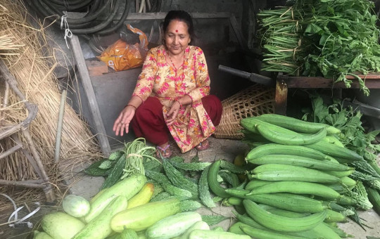 घिरौंला, करेला, सिमी, काँक्रा र फर्सीका मुन्टाका पसरबीच थुचुक्क बसेकी आमा।