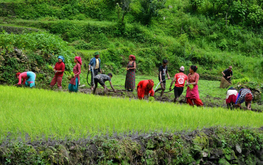 फाइल तस्बिर। रासस