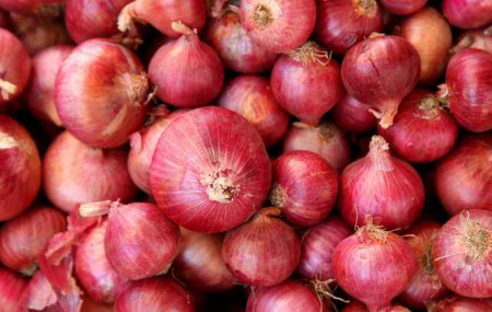 फाइल तस्बिर।