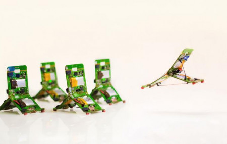 insect-inspired-robots-exlarge-169.jpg