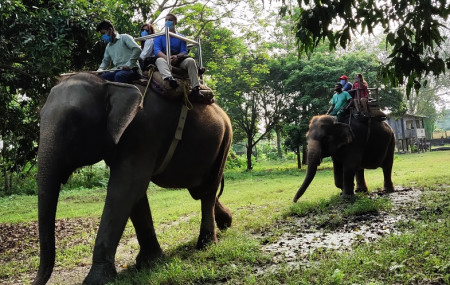 sauraha_.jpg